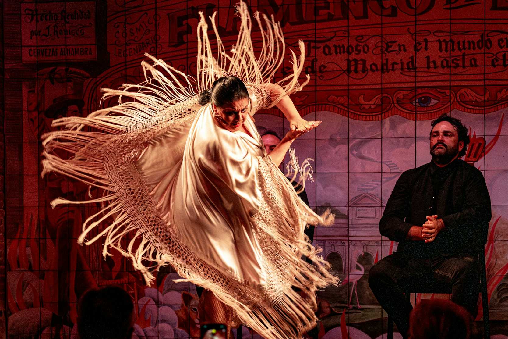Flamenco de Leones Madrid